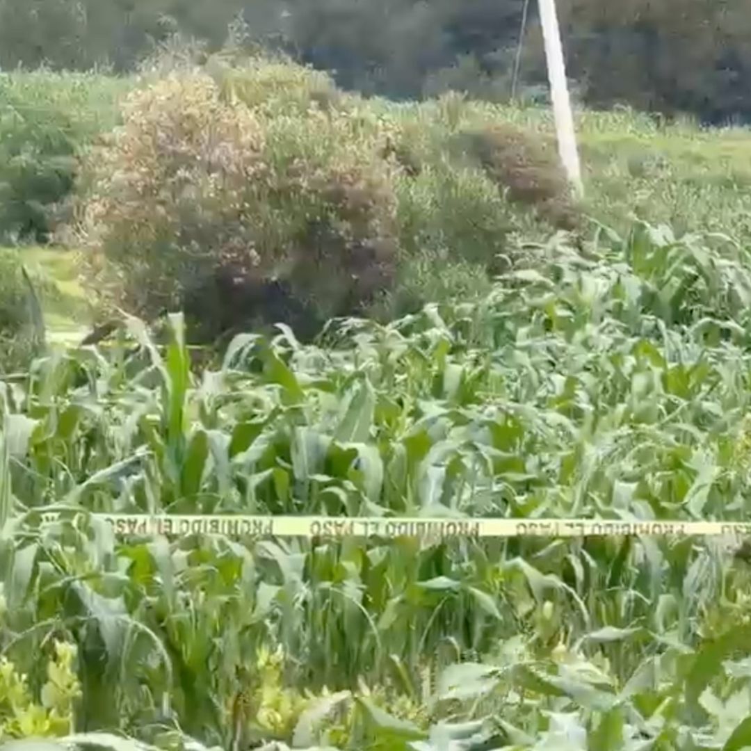 Localizan un hombre muerto en Puebla.